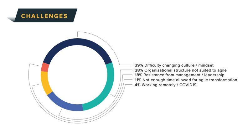 A graphic from the State of Agile Coaching Report showing coaching challenges
